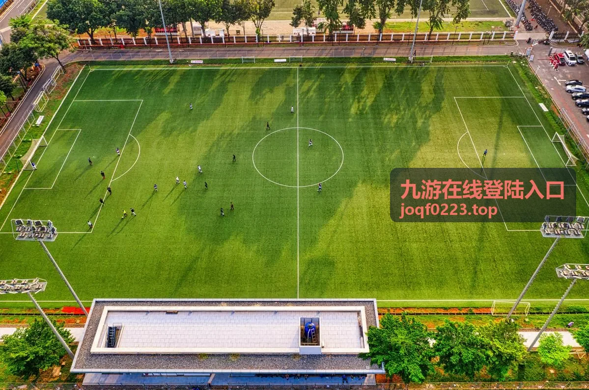 九游在线登陆入口会员权益对比说明配图