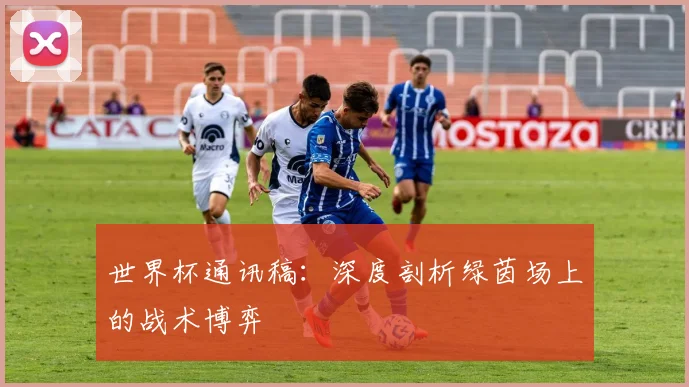 世界杯通讯稿：深度剖析绿茵场上的战术博弈
