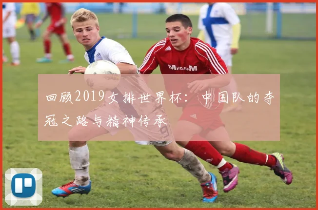 回顾2019女排世界杯：中国队的夺冠之路与精神传承