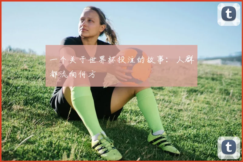 一个关于世界杯投注的故事：人群都流向何方