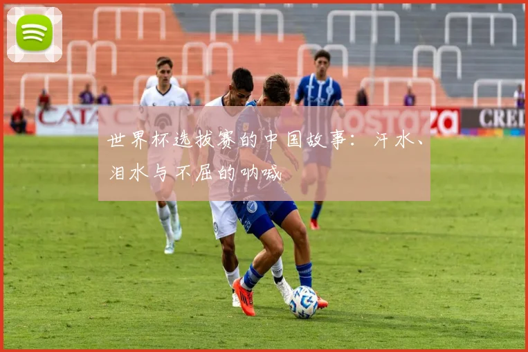 世界杯选拔赛的中国故事：汗水、泪水与不屈的呐喊