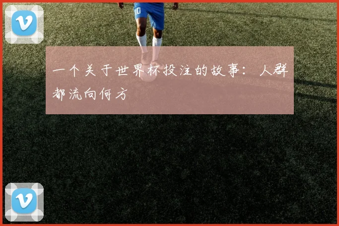 一个关于世界杯投注的故事:人群都流向何方