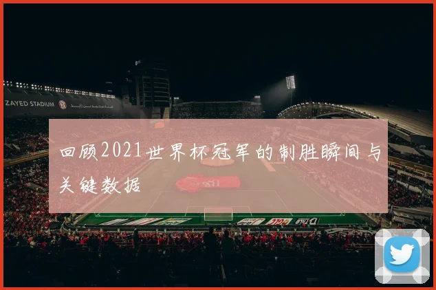 回顾2021世界杯冠军的制胜瞬间与关键数据