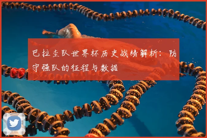 巴拉圭队世界杯历史战绩解析：防守强队的征程与数据